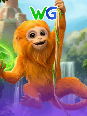 wg image