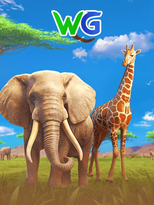 wg image